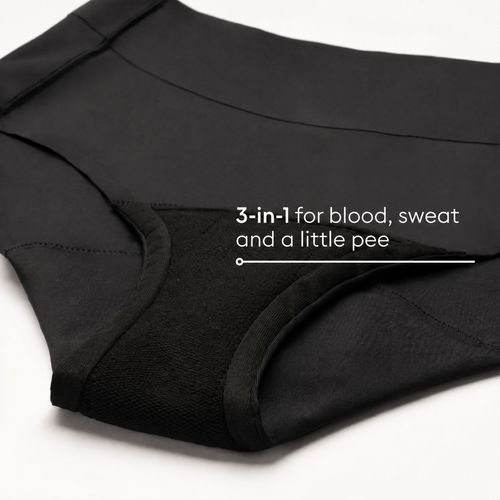 Easelyn Smoothing High-Waist Leakproof Brief