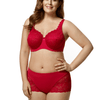Full Cup Lace Underwire Bra with High Power Back and 3/4 Cup Support