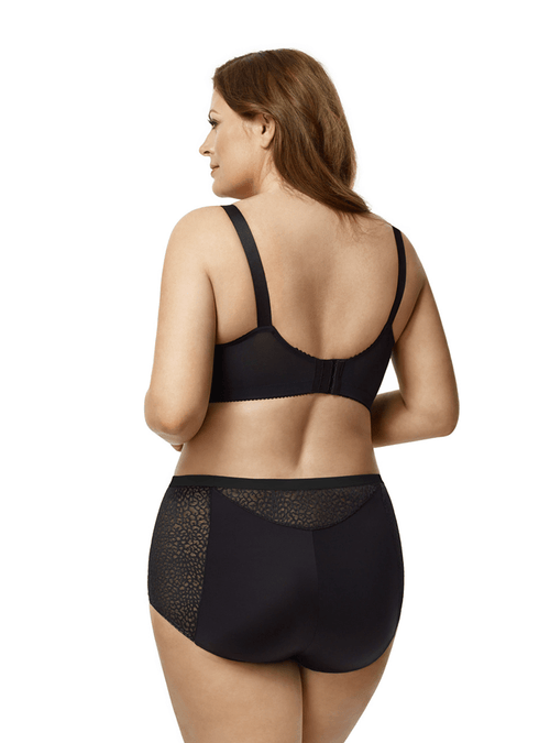 Stretch Lace & Microfiber Panty